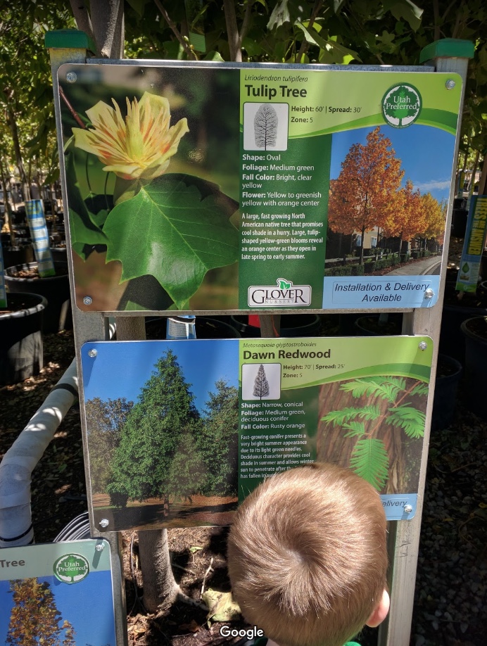 The Fall Event 2018 Tour Stop 1 Glover Nursery Got Questions Give Us At Call The Garden Center Group We Are Here To Help